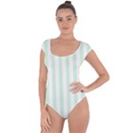 Vertical Stripes - White and Pastel Green Short Sleeve Leotard (Ladies)