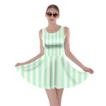 Vertical Stripes - White and Mint Green Skater Dress