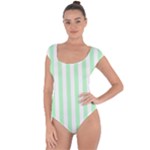 Vertical Stripes - White and Mint Green Short Sleeve Leotard (Ladies)