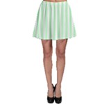 Vertical Stripes - White and Mint Green Skater Skirt