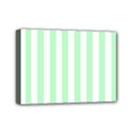 Vertical Stripes - White and Mint Green Mini Canvas 7  x 5  (Stretched)