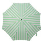 Vertical Stripes - White and Mint Green Hook Handle Umbrella (Large)