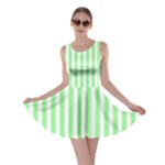 Vertical Stripes - White and Light Green Skater Dress