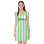 Vertical Stripes - White and Light Green Short Sleeve Skater Dress