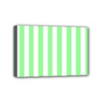 Vertical Stripes - White and Light Green Mini Canvas 6  x 4  (Stretched)