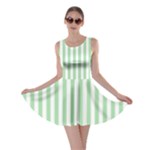 Vertical Stripes - White and Celadon Green Skater Dress