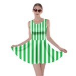 Vertical Stripes - White and Dark Pastel Green Skater Dress