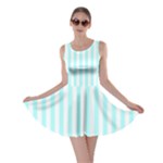 Vertical Stripes - White and Celeste Cyan Skater Dress