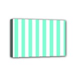 Vertical Stripes - White and Aquamarine Mini Canvas 6  x 4  (Stretched)