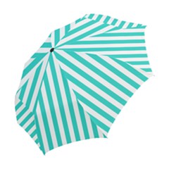 Folding Umbrella 