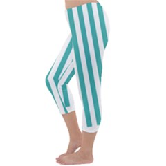 Capri Winter Leggings  Back