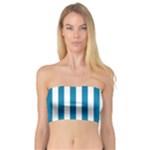 Vertical Stripes - White and Cerulean Bandeau Top