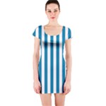 Vertical Stripes - White and Cerulean Short Sleeve Bodycon Dress