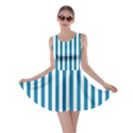 Vertical Stripes - White and Cerulean Skater Dress