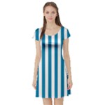 Vertical Stripes - White and Cerulean Short Sleeve Skater Dress