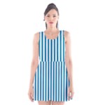 Vertical Stripes - White and Cerulean Scoop Neck Skater Dress