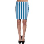 Vertical Stripes - White and Cerulean Bodycon Skirt