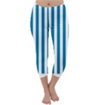 Vertical Stripes - White and Cerulean Capri Winter Leggings