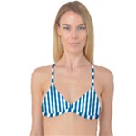 Vertical Stripes - White and Cerulean Reversible Tri Bikini Top