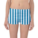 Vertical Stripes - White and Cerulean Reversible Boyleg Bikini Bottoms