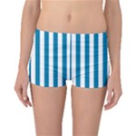 Vertical Stripes - White and Cerulean Boyleg Bikini Bottoms