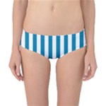 Vertical Stripes - White and Cerulean Classic Bikini Bottoms