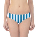 Vertical Stripes - White and Cerulean Hipster Bikini Bottoms