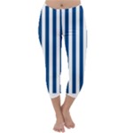 Vertical Stripes - White and Dark Cerulean Capri Winter Leggings