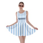 Vertical Stripes - White and Baby Blue Skater Dress