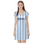 Vertical Stripes - White and Baby Blue Short Sleeve Skater Dress