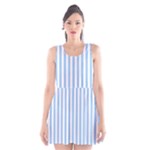 Vertical Stripes - White and Baby Blue Scoop Neck Skater Dress