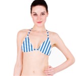 Vertical Stripes - White and Steel Blue Bikini Top