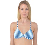 Vertical Stripes - White and Steel Blue Reversible Tri Bikini Top