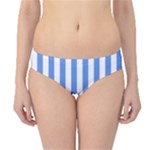 Vertical Stripes - White and Cornflower Blue Hipster Bikini Bottoms