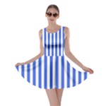 Vertical Stripes - White and Royal Blue Skater Dress