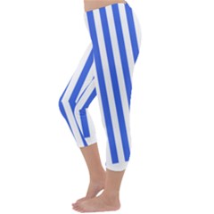 Capri Winter Leggings  Back