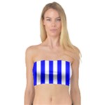 Vertical Stripes - White and Blue Bandeau Top