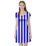 Vertical Stripes - White and Blue Short Sleeve Skater Dress