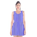 Vertical Stripes - White and Blue Scoop Neck Skater Dress