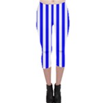 Vertical Stripes - White and Blue Capri Leggings