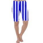 Vertical Stripes - White and Blue Cropped Leggings