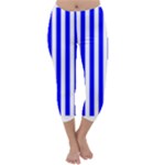 Vertical Stripes - White and Blue Capri Winter Leggings