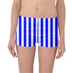 Vertical Stripes - White and Blue Boyleg Bikini Bottoms