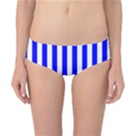 Vertical Stripes - White and Blue Classic Bikini Bottoms