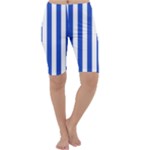 Vertical Stripes - White and Cerulean Blue Cropped Leggings