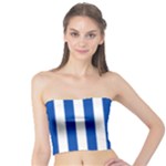 Vertical Stripes - White and Cobalt Blue Tube Top