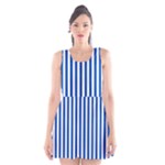 Vertical Stripes - White and Cobalt Blue Scoop Neck Skater Dress