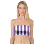 Vertical Stripes - White and Dark Lavender Violet Bandeau Top