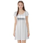 Vertical Stripes - White and Pale Gray Short Sleeve Skater Dress