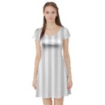 Vertical Stripes - White and Gainsboro Gray Short Sleeve Skater Dress